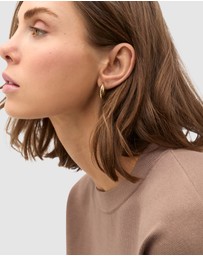 Seed Heritage - Teardrop Ear Pack