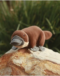 Animal Allsorts - Poppy Platypus