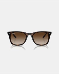 Ray-Ban - 0RB4420