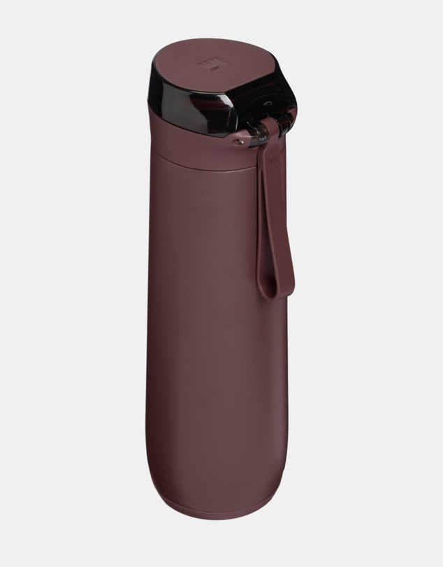 Stanley 1913 - The Flowstate™ Spring Bottle 20oz