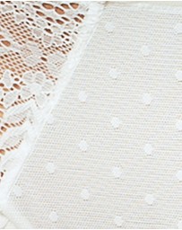Parfait - Mia Sheer Mesh & Lace Hipster Brief