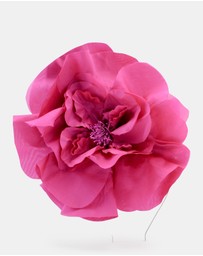 Morgan & Taylor - Cindy Fascinator