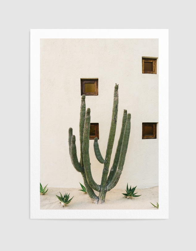 Olive et Oriel - Cabo Cactus Ix by Bethany Young Art Print