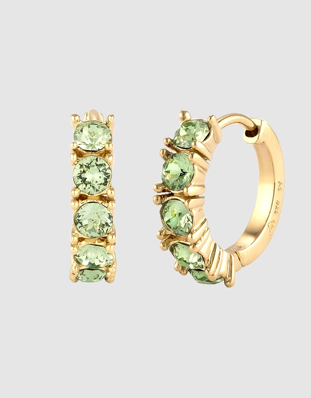Elli Jewelry - Hoop Earrings in Gold-Plated 925 Silver