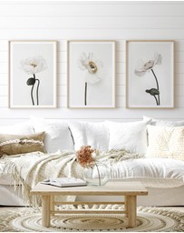 Olive et Oriel - White Poppy II Art Print