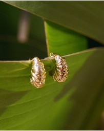 Carly Paiker - Crustacean Earrings