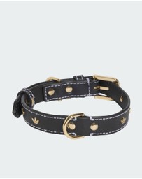 adidas Originals - adidas Pet Collar