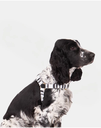 Mog & Bone - Hemp Dog Harness - Pebble Black Brush Stroke Print
