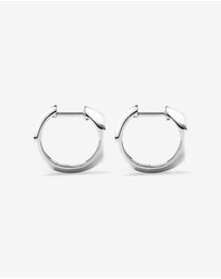 Michael Hill - Diamond Star Accent Signet Huggie Hoop Earrings in Sterling Silver