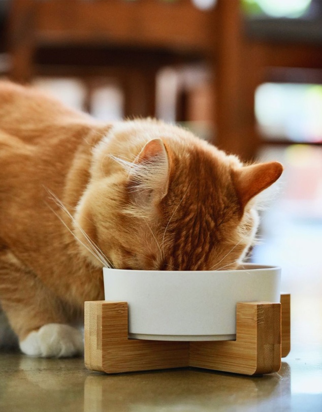 Mog & Bone - Single Bamboo Cat Bowl Natural