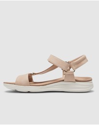 Active Flex - Native