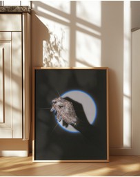 Olive et Oriel - Glitter Hand by Samantha Hearn Art Print