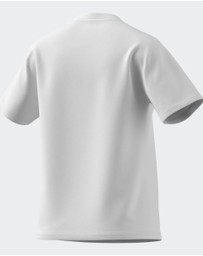 adidas Sportswear - AOTEAROA GRAPHIC TEE Womens