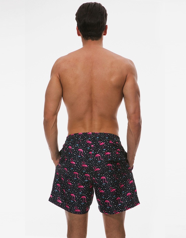 Vacancy Co - Flamingo Nights Swim Short