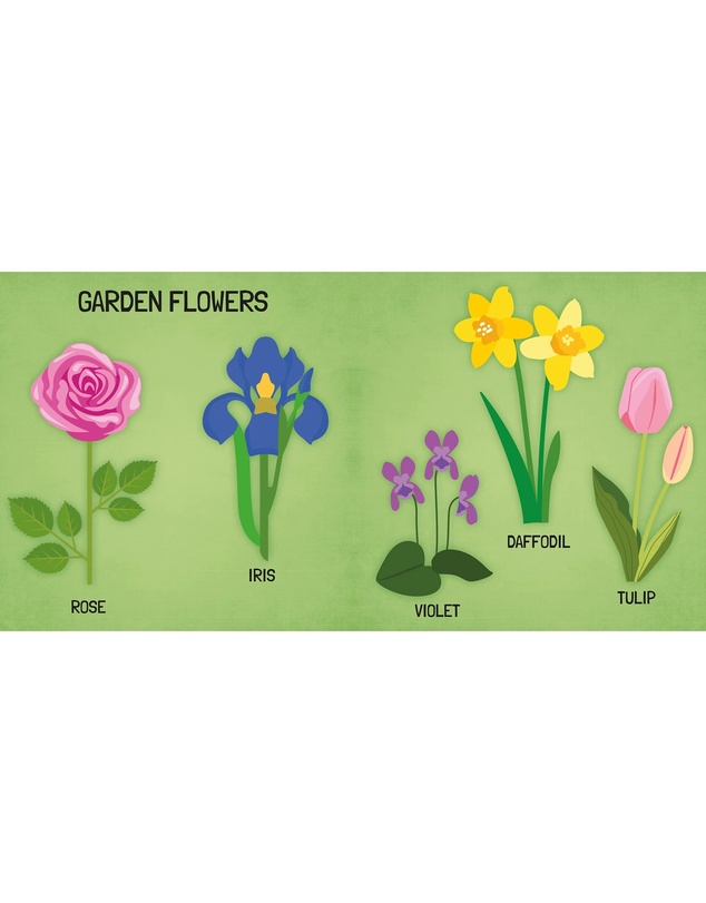 Sassi - Learn all about The Flowers 3D Puzzle and Book Set 40 Pieces
