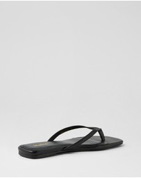 Mollini - Reille Thong