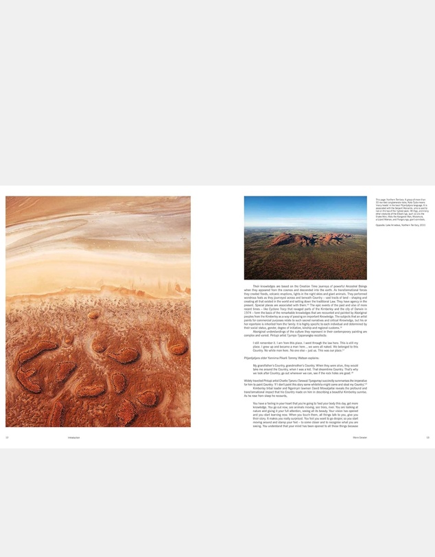 Brumby Sunstate - Dreaming the Land