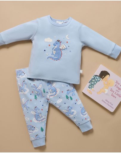 Sleeping Dragon Print