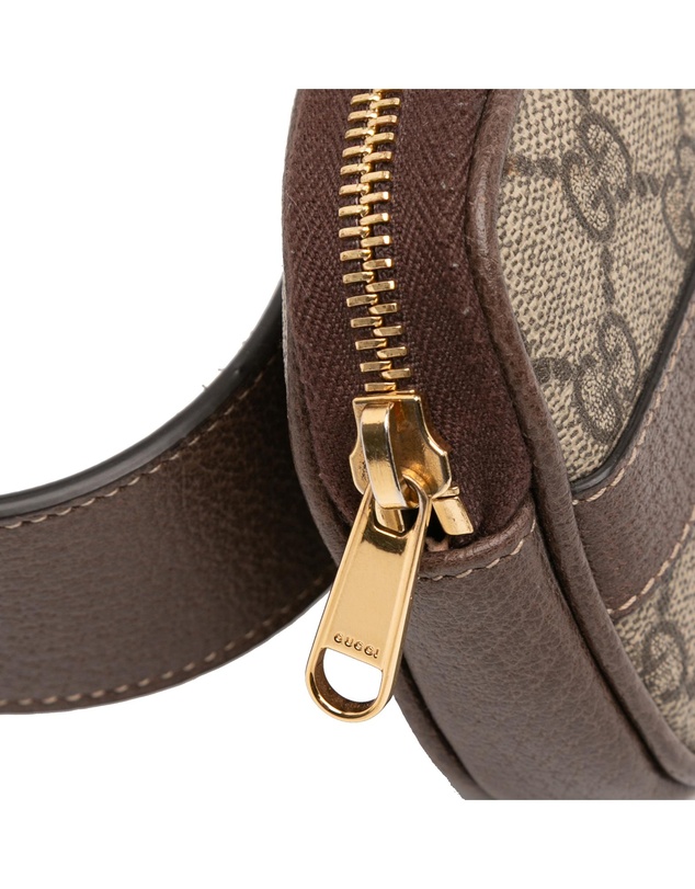 Pre-Loved by Azura Reborn - Pre-Loved Small GG Supreme Web Ophidia Belt Bag