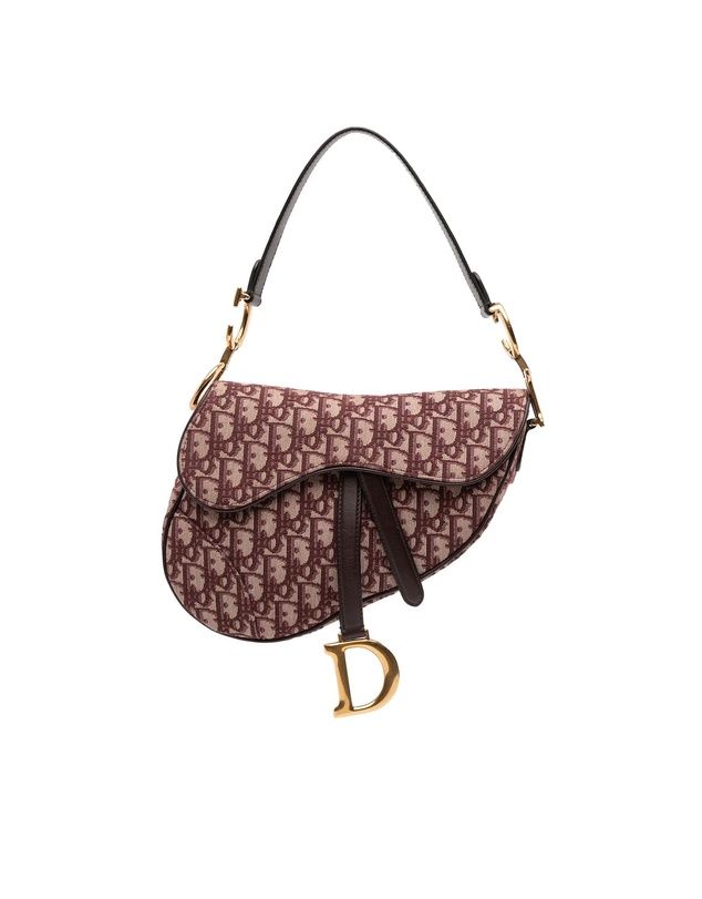 Pre-Loved by Azura Reborn - Pre-Loved Oblique Canvas Saddle Bag