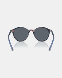 Ray-Ban - Bernard