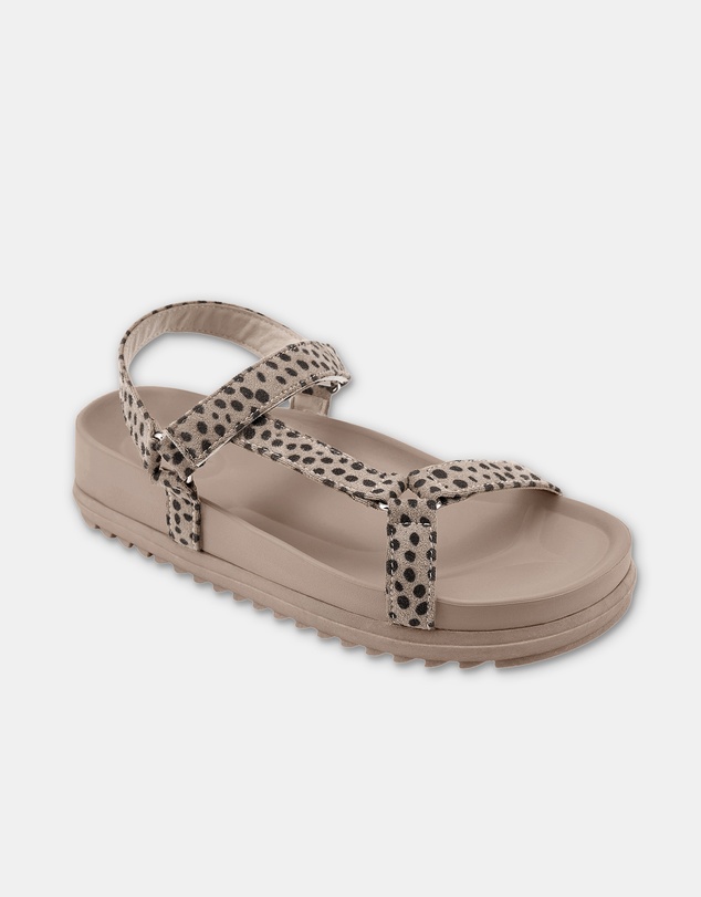 Holster - Glide - Cheetah