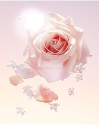 Lancome - Idole EDP 50ml