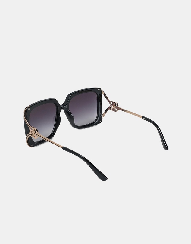 ALDO - Larirajan Sunglasses