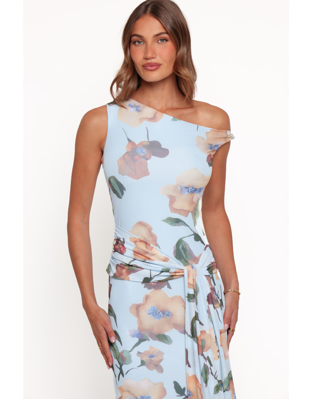 Petal & Pup - Loulani Maxi Dress - Pale Blue Floral
