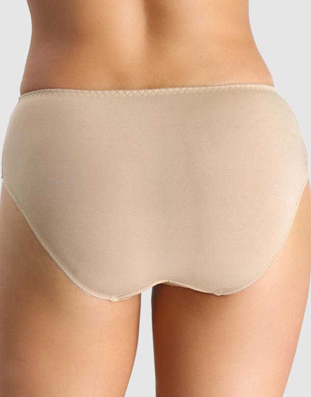 Nessa - Sonata High Waist Full Cut Brief with Embroidery