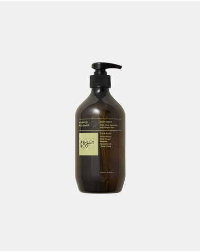 Ashley & Co - Washup All Over 500ml