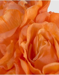 Max Alexander - Large Orange Flower Fascinator Headband
