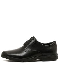 Rockport - Allander