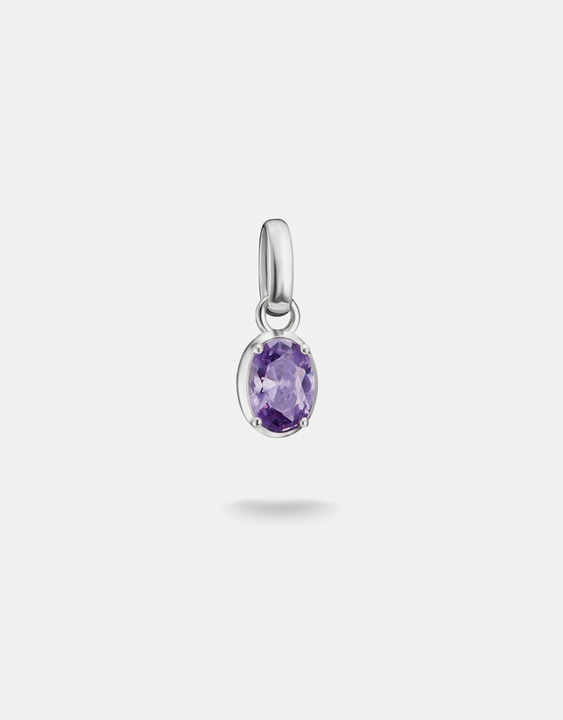 THOMAS SABO - THOMAS SABO Connect Charm Birthstone February
