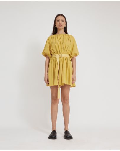 Daffodil