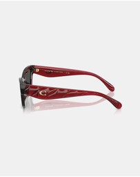 Coach - HC8420U