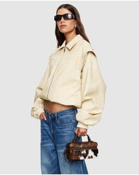 Lioness - Vista Bomber