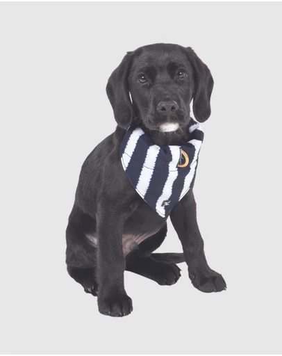 Mog & Bone - Dog Bandana - Navy Hamptons Stripe Print