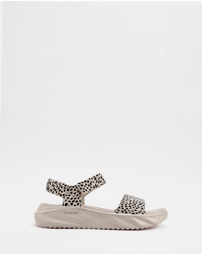 Sand Cheetah