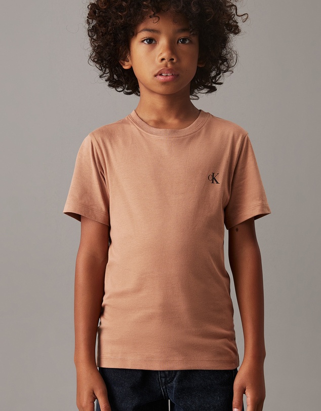 Calvin Klein Jeans - Boys 2 Pack T-Shirts
