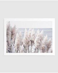 Olive et Oriel - Pampas By The Sea Art Print