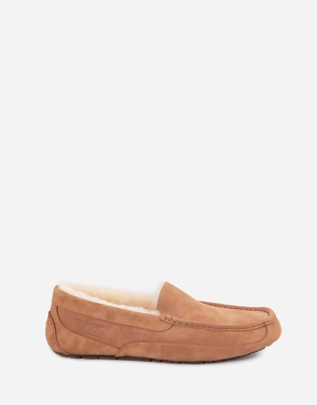 Ozwear Connection Uggs - Ugg Denver Men's Moccassin (Water Resistant)