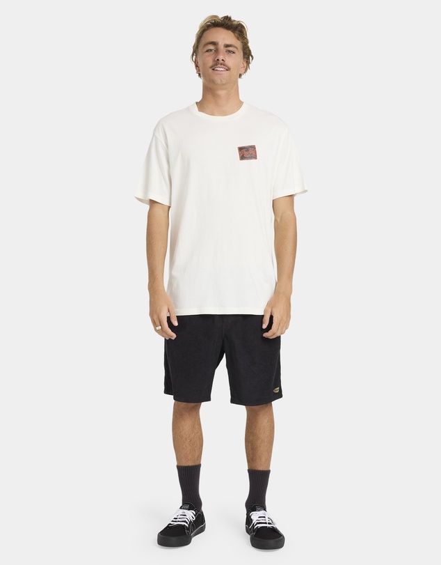 Billabong - Mens Crayon Wave T-Shirt