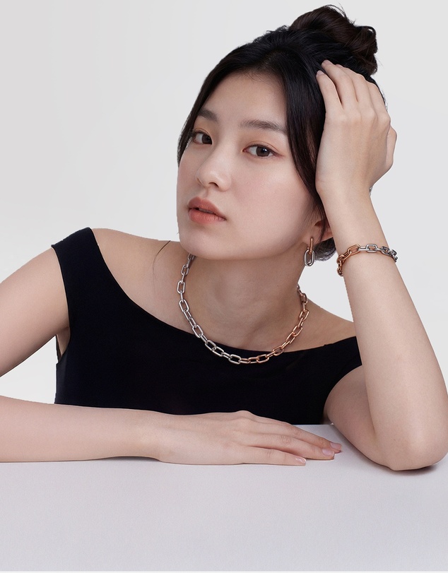 Daniel Wellington - Contrast Link Earrings Two Tone