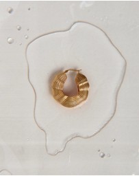 HOUSE OF SLANI - Gold Needra Statement Hoops