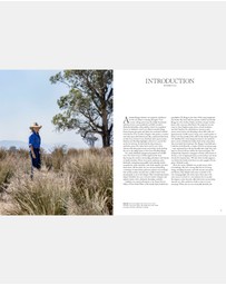 Brumby Sunstate - City, Coast & Country