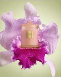 Glasshouse Fragrances - Radiance In Bloom 380g Soy Candle