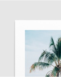 Olive et Oriel - Maldivian Palm I Art Print