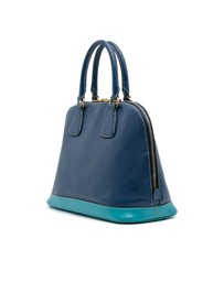 Pre-Loved by Azura Reborn - Pre-Loved Bicolor Saffiano Lux Promenade Dome Handbag