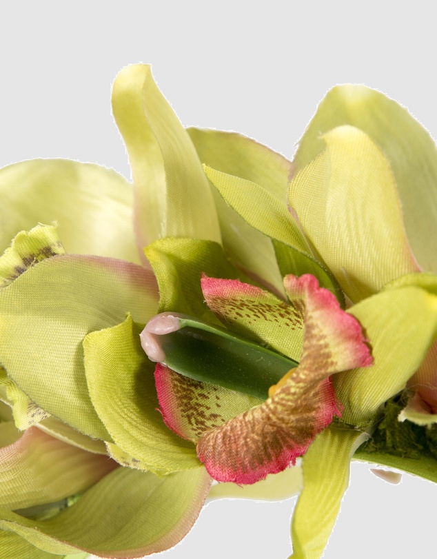 Max Alexander - Large Lime Flower Headband Fascinator